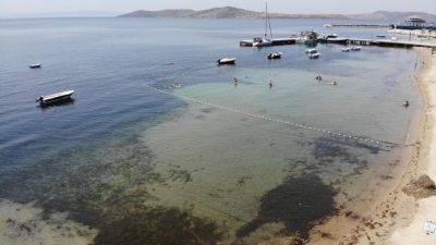 Erdek’te koruma altındaki deniz çayırlarının sökülmesi ile ilgili inceleme tamamlandı.