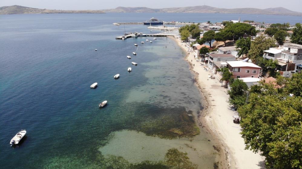 Devlet korumasındaki deniz çayırlarını söktüler Erdek’te yapılan plaj temizliği sırasında koruma altındaki deniz çayırları kepçelerle