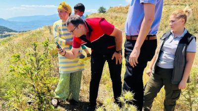 Havran’da Fazlıca Mahallesi’nde kestane üretimi yapan çiftçilerin kestane gal arısı