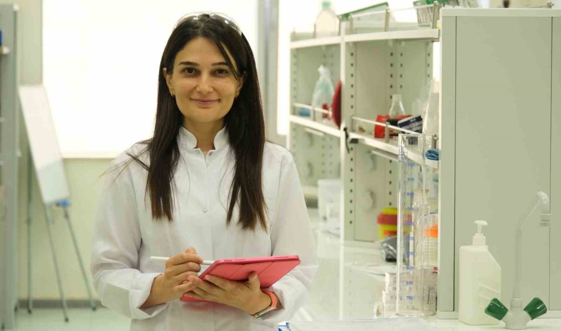 Kalp krizi sonrası hasarlı dokuyu iyileştirecek biyomalzeme geliştirilecek Hitit Üniversitesinde yürütülen proje kapsamında kalp krizi sonrası oluşan hasarlı