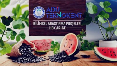 Uzmanlar, Türkiye’nin en sıcak bölgeleri arasında yer alan Akdeniz iklimine