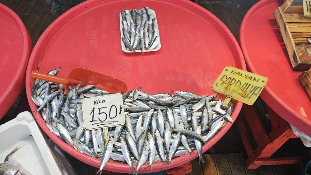 Bandırma’da mevsim balığı olan sardalyaya yoğun talep Balıkesir Büyükşehir Belediyesi Bandırma Su Ürünleri Hali’nde sardalya bolluğu yaşanıyor.