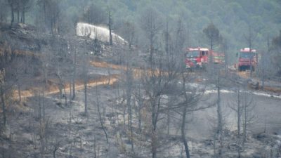 Kepsut’ta dün akşam öğleden sonra başlayan orman yangını kontrol altına