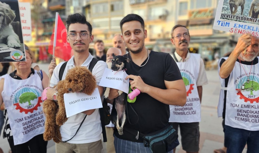 Hayvanseverler seslerini Bandırma’da sokak hayvanları için yükseltti AK Parti tarafından meclise sunularak kabul edilen sokak hayvanları yasa