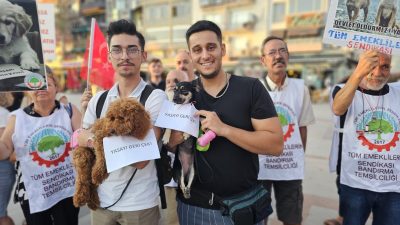 AK Parti tarafından meclise sunularak kabul edilen sokak hayvanları yasa