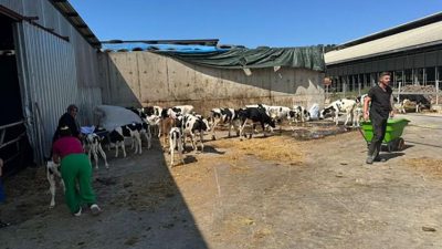 Ertuğrul Mahallesinde bulunan büyükbaş hayvan çiftliğinde çıkan yangın itfaiye ekiplerinin