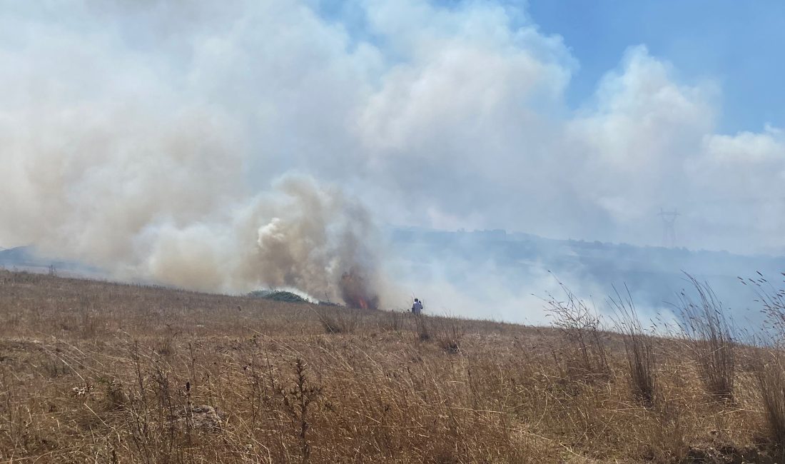 Bandırma’da çamlık alanda yangın Bandırma’da çamlık alanda çıkan yangın kısa sürede yayılarak korkuya neden