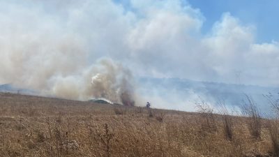 Bandırma’da çamlık alanda çıkan yangın kısa sürede yayılarak korkuya neden