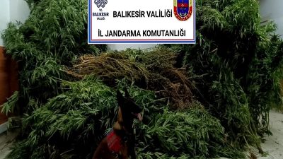 Balıkesir İl Jandarma Komutanlığı, uyuşturucu madde imal ve ticaretiyle mücadele