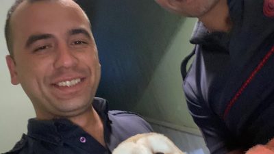 Karesi’de apartmanın havalandırma boşluğuna düşen baykuş İtfaiye Daire Başkanlığı’na bağlı