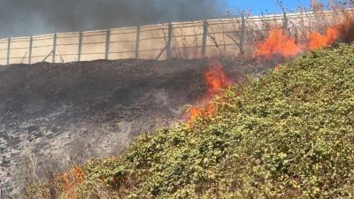 Balıkesir – Susurluk karayolu üzerinde yol kenarında bulunan otlar tutuştu.