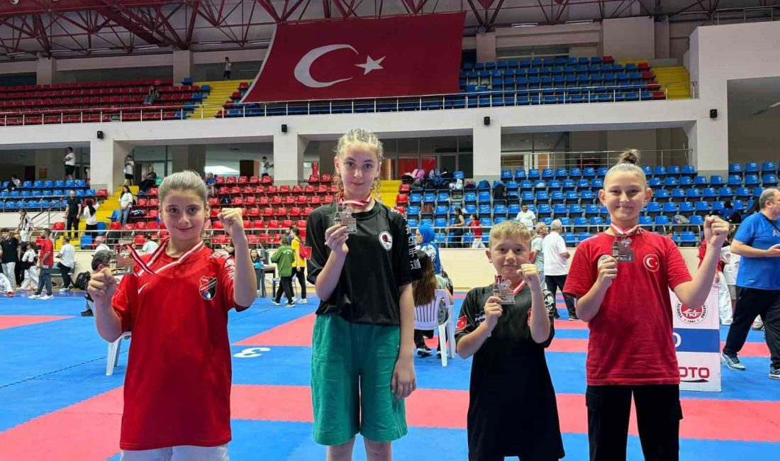 Manyaslı karateciler başarıya doymuyor Manyas’ta yaşayan 4 sporcu, İstanbul’un Beylikdüzü ilçesinde yapılan Uluslararası Marmara