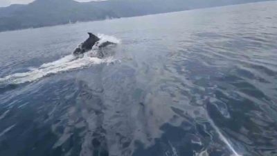 Kastamonu’nun Cide ilçesinde gezmek için denize açılan vatandaşların bulunduğu tekne