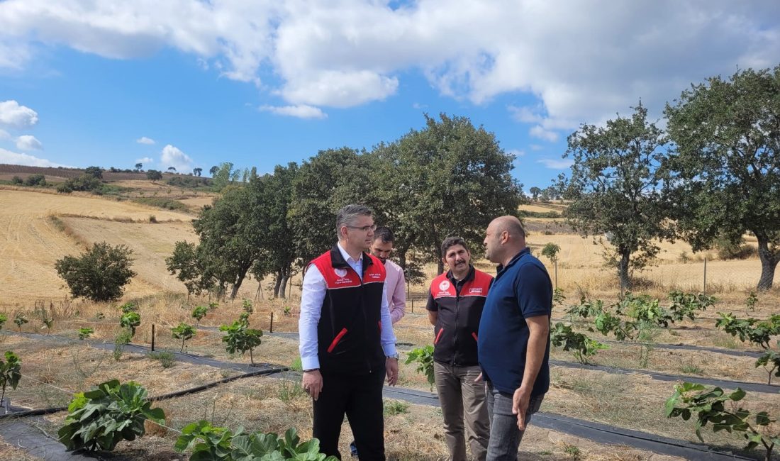 Alkan, Gönen’deki telli sistem ile incir üretimi çalışmalarını değerlendirdi Balıkesir İl Tarım ve Orman Müdürü Erkan Alkan, Gönen’deki incir