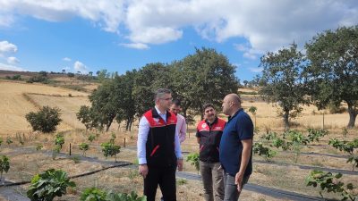 Balıkesir İl Tarım ve Orman Müdürü Erkan Alkan, Gönen’deki incir
