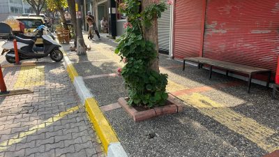 Bandırma’da Atatürk caddesi postahane’nin alt tarafında bulunan otobüs durağı yakınında