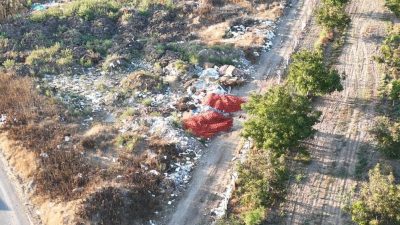 Balıkesir’in verimli toprakları olarak bilinen Sındırgı ve Bigadiç ilçelerinde domates