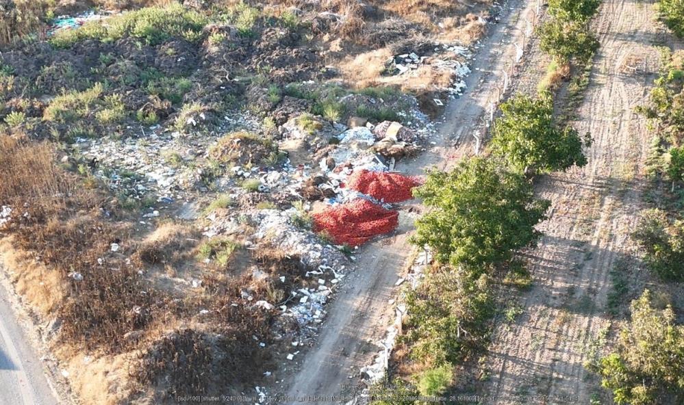 Verimli topraklarda domates krizi: Domates tarlada kaldı Balıkesir’in verimli toprakları olarak bilinen Sındırgı ve Bigadiç ilçelerinde domates