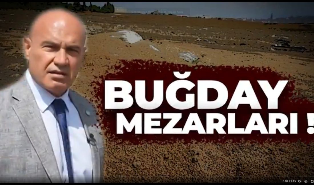 TMO: “Turhan Çömez’in “Buğday Mezarlığı” iddiaları gerçeği yansıtmıyor” Toprak Mahsulleri Ofisi, açık yığın sahalarındaki buğdayların çürütüldüğü iddialarına yanıt