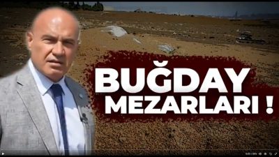 Toprak Mahsulleri Ofisi, açık yığın sahalarındaki buğdayların çürütüldüğü iddialarına yanıt