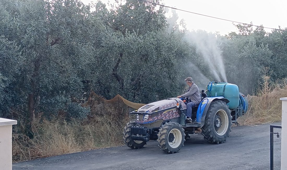 ZEYTİNSİNEĞİ TEHLİKESİNE İLAÇLA MÜDAHALE ERDEK-Bu yıl zeytin mahsulünün geçen yıla göre çok iyi olduğunu