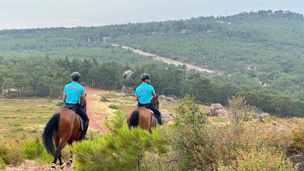 Ayvalık sahillerinde jandarma atlı süvarileri suç ve suçluya geçit vermiyor Ayvalık’ta, jandarma bünyesindeki atlı süvariler gerçekleştirdikleri başarılı operasyonlarla göz doldurdu.