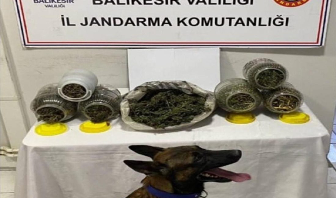 Balıkesir’de uyuşturucu operasyonu: 6 kişi yakalandı Balıkesir İl Jandarma Komutanlığınca, uyuşturucu madde imal ticareti suçlarına yönelik