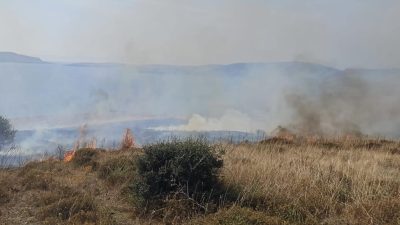 Erdeğe bağlı Paşalimanı Adası’nda otluk alanda yangın çıktı. Rüzgarın etkisiyle