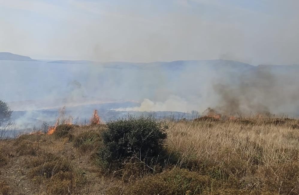 Paşalimanı Adası’nda yangın Erdeğe bağlı Paşalimanı Adası’nda otluk alanda yangın çıktı. Rüzgarın etkisiyle