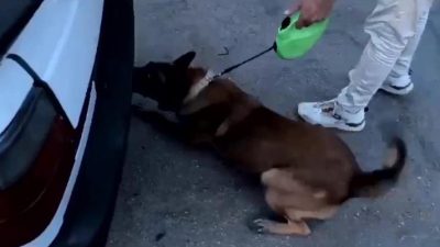 Edremit’te polis tarafından durdurulan bir araçta, yedek lastiğine gizlenmiş halde 2