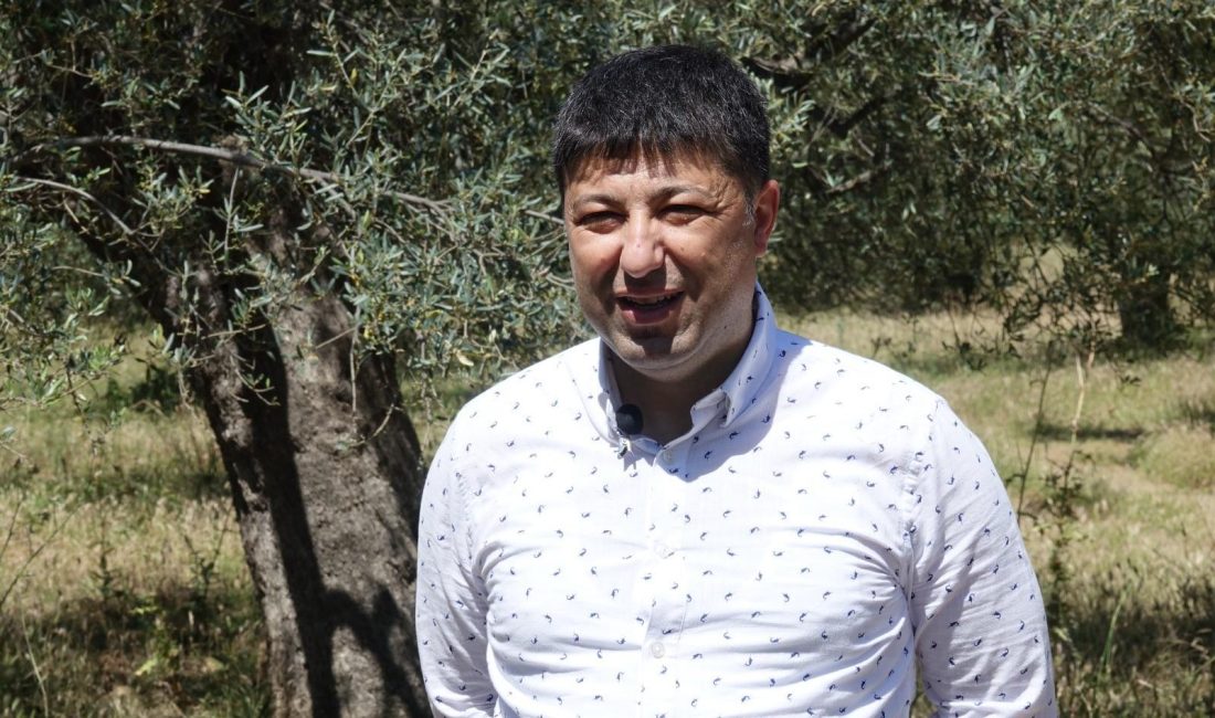 İşte sahte zeytinyağını anlamanın püf noktaları Balıkesir Üniversitesi (BAÜN) Edremit Meslek Yüksekokulu Zeytincilik ve Zeytin İşleme