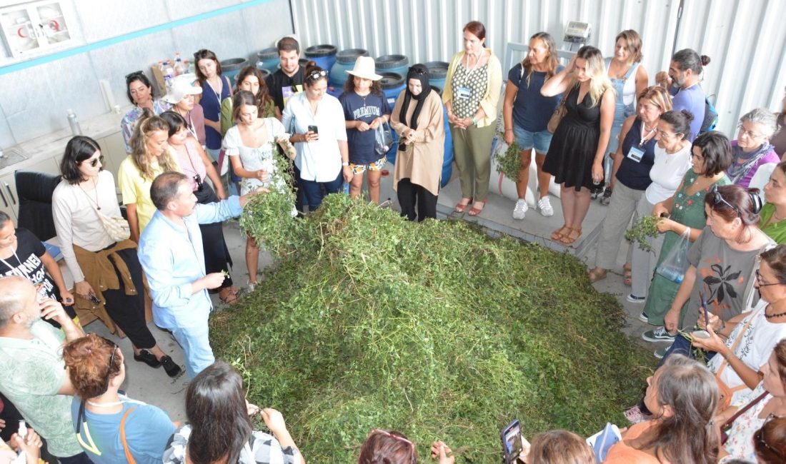 BAÇEM’de tıbbi ve aromatik bitkiler kursu tamamlandı Balıkesir Büyükşehir Belediyesi Çiftçi Eğitim Merkezi (BAÇEM) tarafından düzenlenen 12.