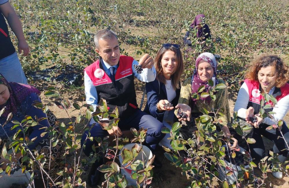 Erdek Kaymakamı Atasoy’dan Dünya Kadın Çiftçiler Günü Ziyareti Erdek Kaymakamı Abdullah Atakan Atasoy, Dünya Kadın Çiftçiler Günü dolayısıyla,