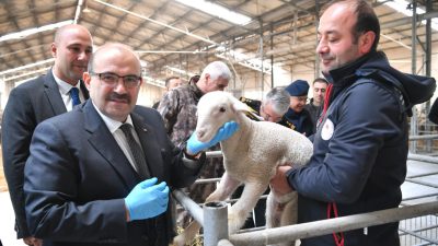 Balıkesir Valisi İsmail Ustaoğlu, 4 Ekim Dünya Hayvanları Koruma Günü