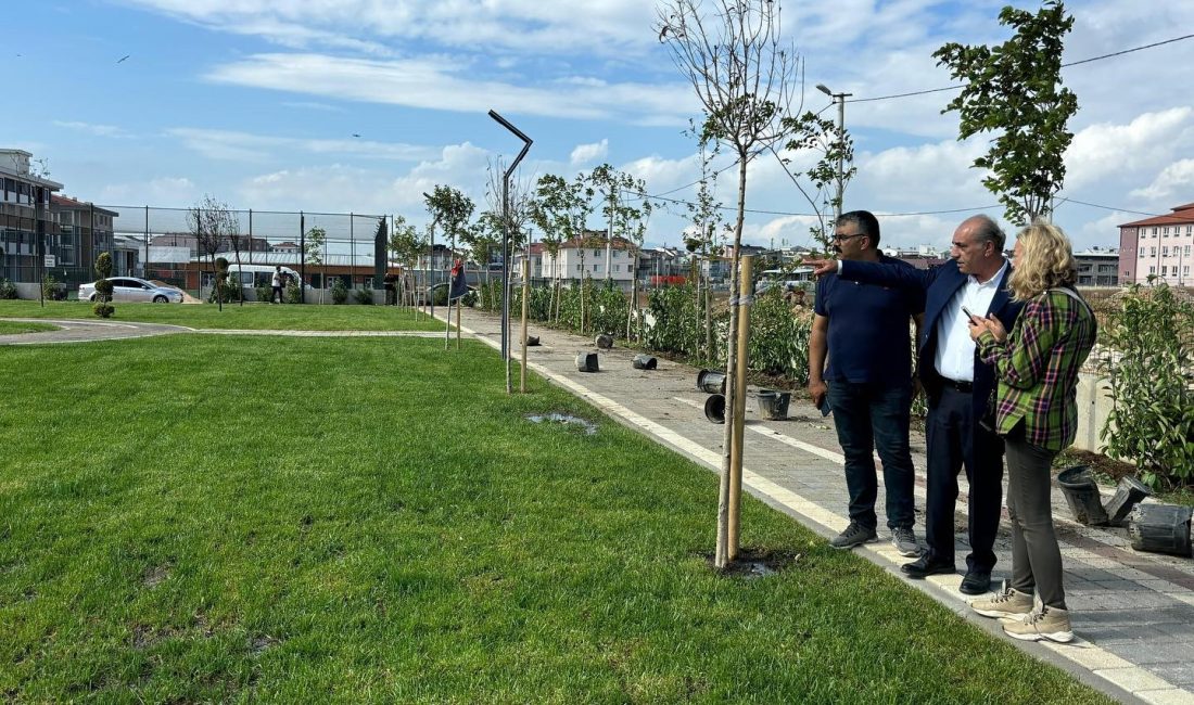 Bandırma’nın mahallelerinde yeşil alan genişletme çalışmaları hızlandı Bandırma Belediyesi, ilçenin yeşillenmesi için park yapım ve yeşillendirme çalışmalarını