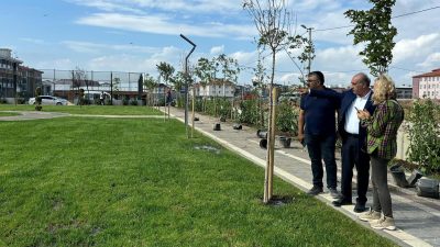 Bandırma Belediyesi, ilçenin yeşillenmesi için park yapım ve yeşillendirme çalışmalarını