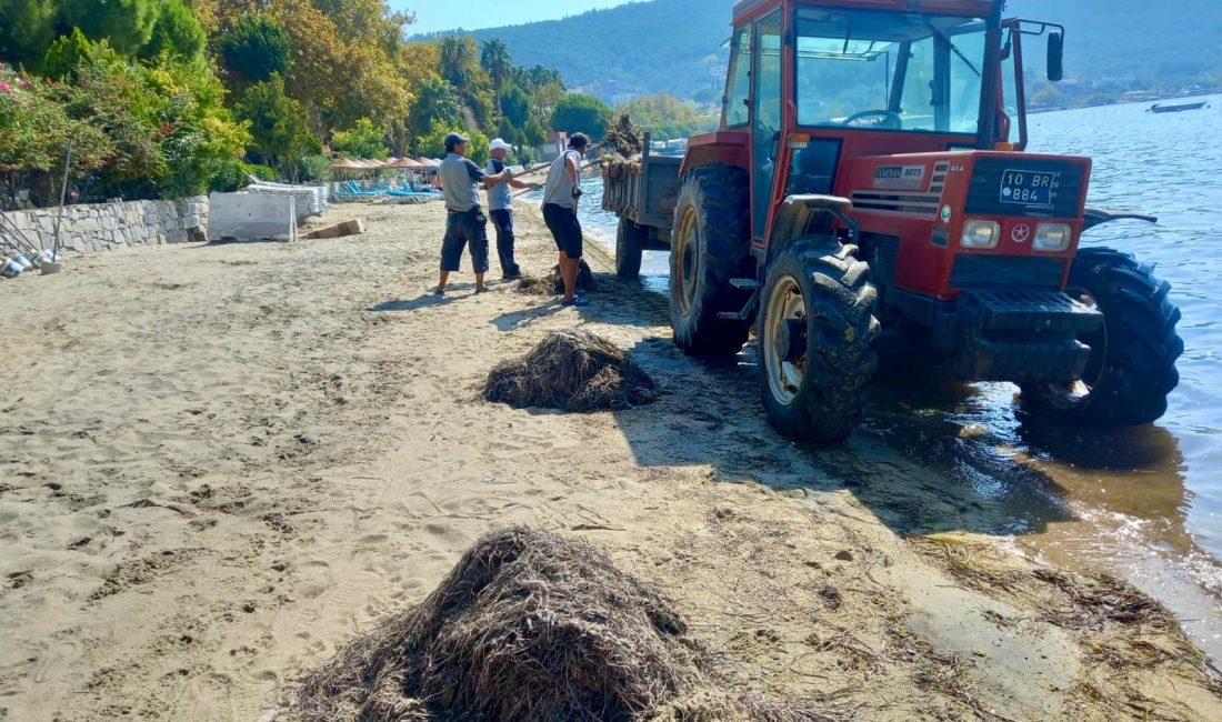 Erdek’te Kapıdağ Yarımadası plajları temizlendi Balıkesir Büyükşehir Belediyesi, Kapıdağ Yarımadası’ndaki plajlar ve adalarda kapsamlı bir