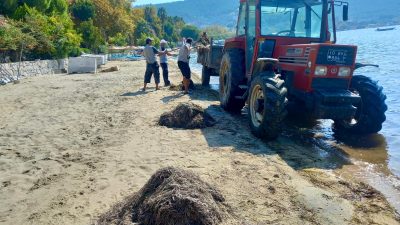 Balıkesir Büyükşehir Belediyesi, Kapıdağ Yarımadası’ndaki plajlar ve adalarda kapsamlı bir