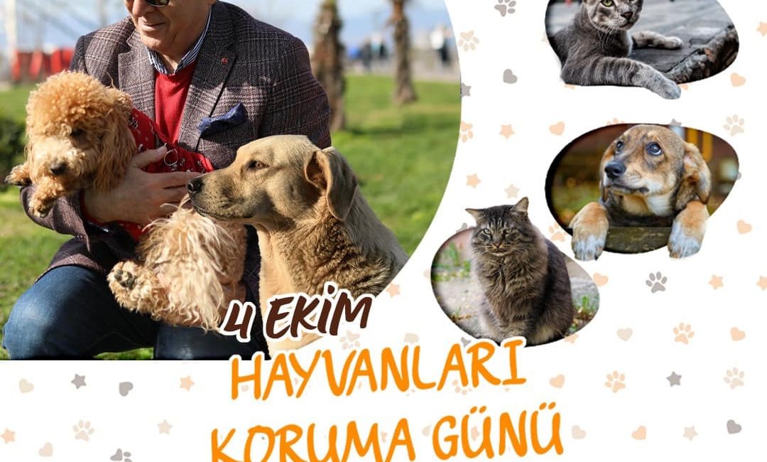 Mirza: “Can dostlarımız için daha fazla çalışmalıyız” 4 Ekim Dünya Hayvanları Koruma Günü’nde mesaj yayınlayan Bandırma Belediye