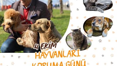 4 Ekim Dünya Hayvanları Koruma Günü’nde mesaj yayınlayan Bandırma Belediye
