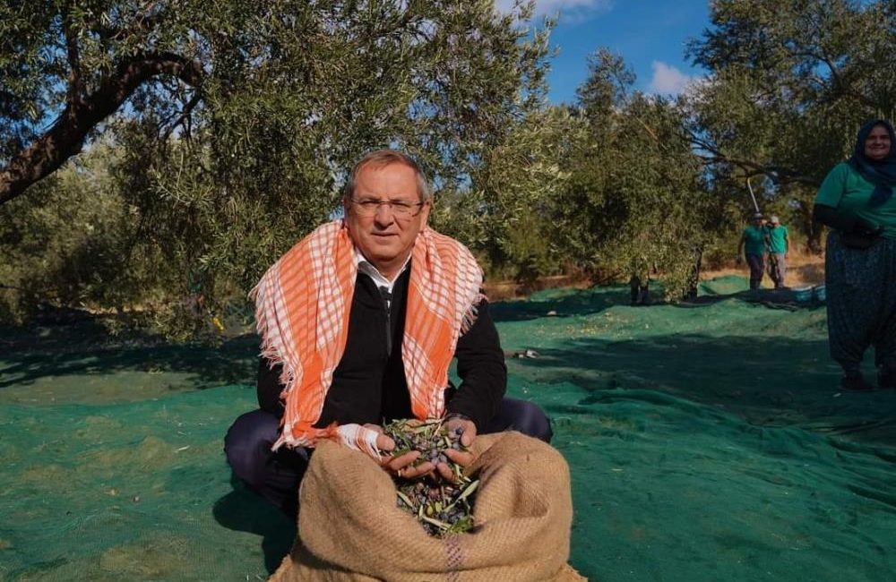 Ayvalık Belediyesi zeytinliklerinin ilk hasadı Ayvalık Belediye Başkanı Mesut Ergin tarafından yapıldı. Ayvalık Belediyesi’nin zeytinliklerinde hasat başladı. İlk hasadı gerçekleştiren Başkan Mesut