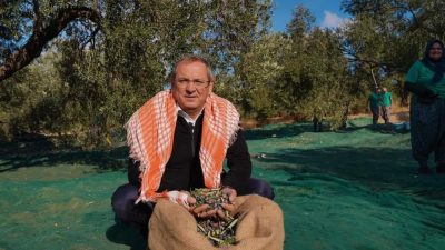 Ayvalık Belediyesi’nin zeytinliklerinde hasat başladı. İlk hasadı gerçekleştiren Başkan Mesut