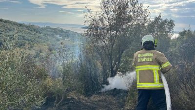 Erdek’te çıkan orman yangını, ekiplerin havadan ve karadan müdahalesiyle 2