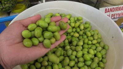 Bandırma’da, zeytin hasadıyla birlikte sofraların vazgeçilmezi olan yeşil zeytin satışa