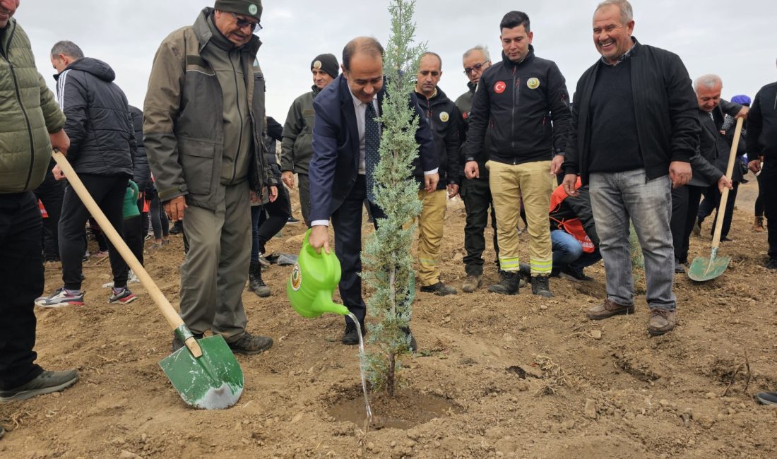 Bandırma’da Milli Ağaçlandırma Günü’nde 750 fidan toprakla buluştu 11 Kasım Milli Ağaçlandırma Günü kapsamında Bandırma’da, Ağustos ayında çıkan