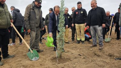 11 Kasım Milli Ağaçlandırma Günü kapsamında Bandırma’da, Ağustos ayında çıkan