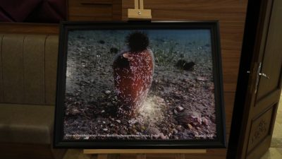 Bandırma Onyedi Eylül Üniversitesi ve Çevre Bakanlığı’nın ortak yürüttüğü MAR-ÇAYIR