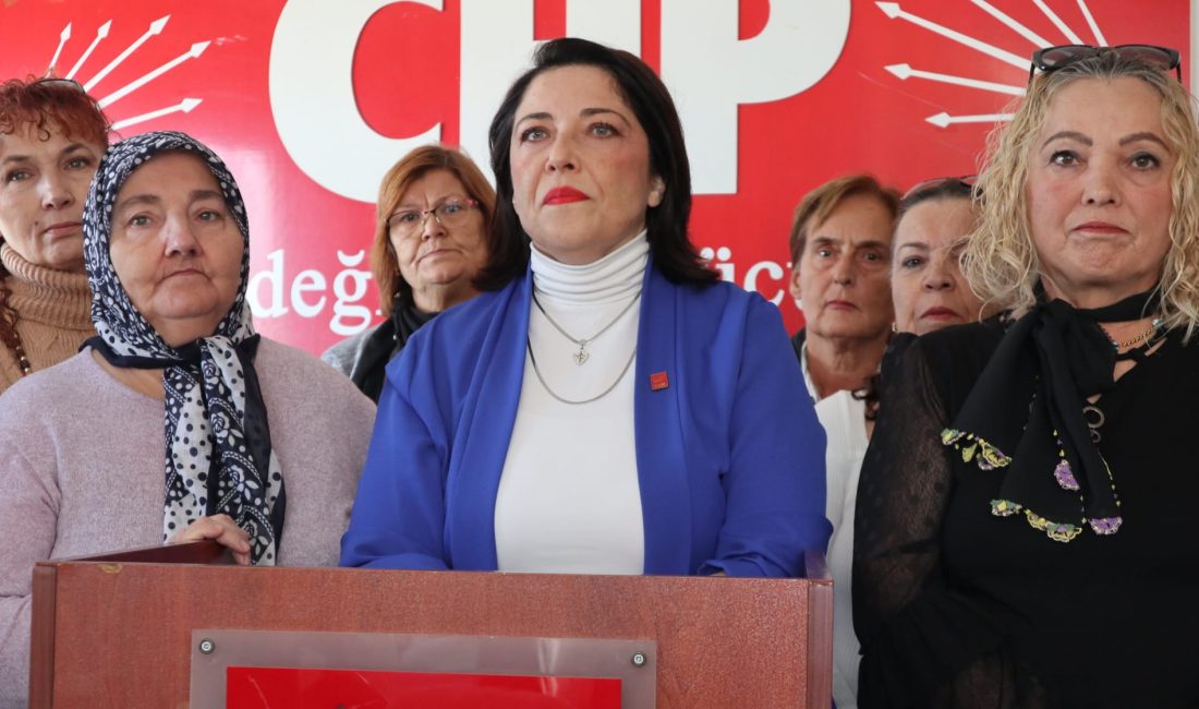 CHP Bandırma Kadın Kolları: “Kadınların hakları için mücadele sürmeli” Cumhuriyet Halk Partisi Bandırma İlçe Kadın Kolları Başkanı Filiz Özdemir,