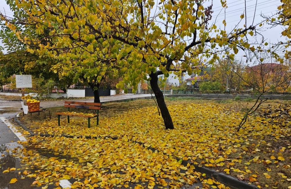 Beyazın ve sonbaharın güzellikleri bir arada Büyük bir bölümü ormanlarla kaplı doğal şehir unvanı ile tanınan