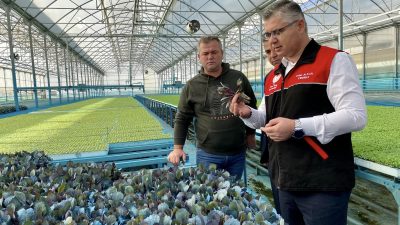 Susurluk’ta kurulacak doku kültürü laboratuvarı, hastalık ve zararlılardan arındırılmış, verimli